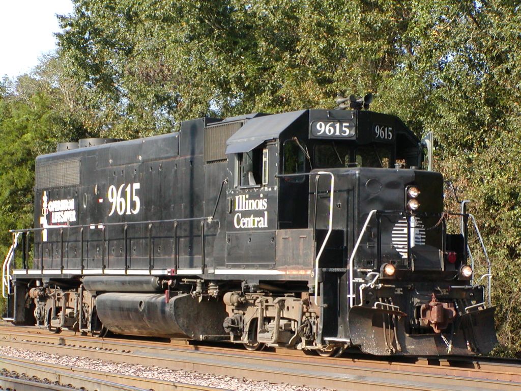 Black-Skinned Orkhan